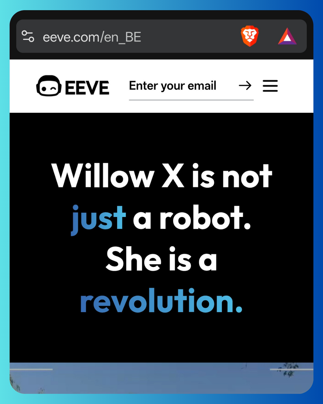 Willow X